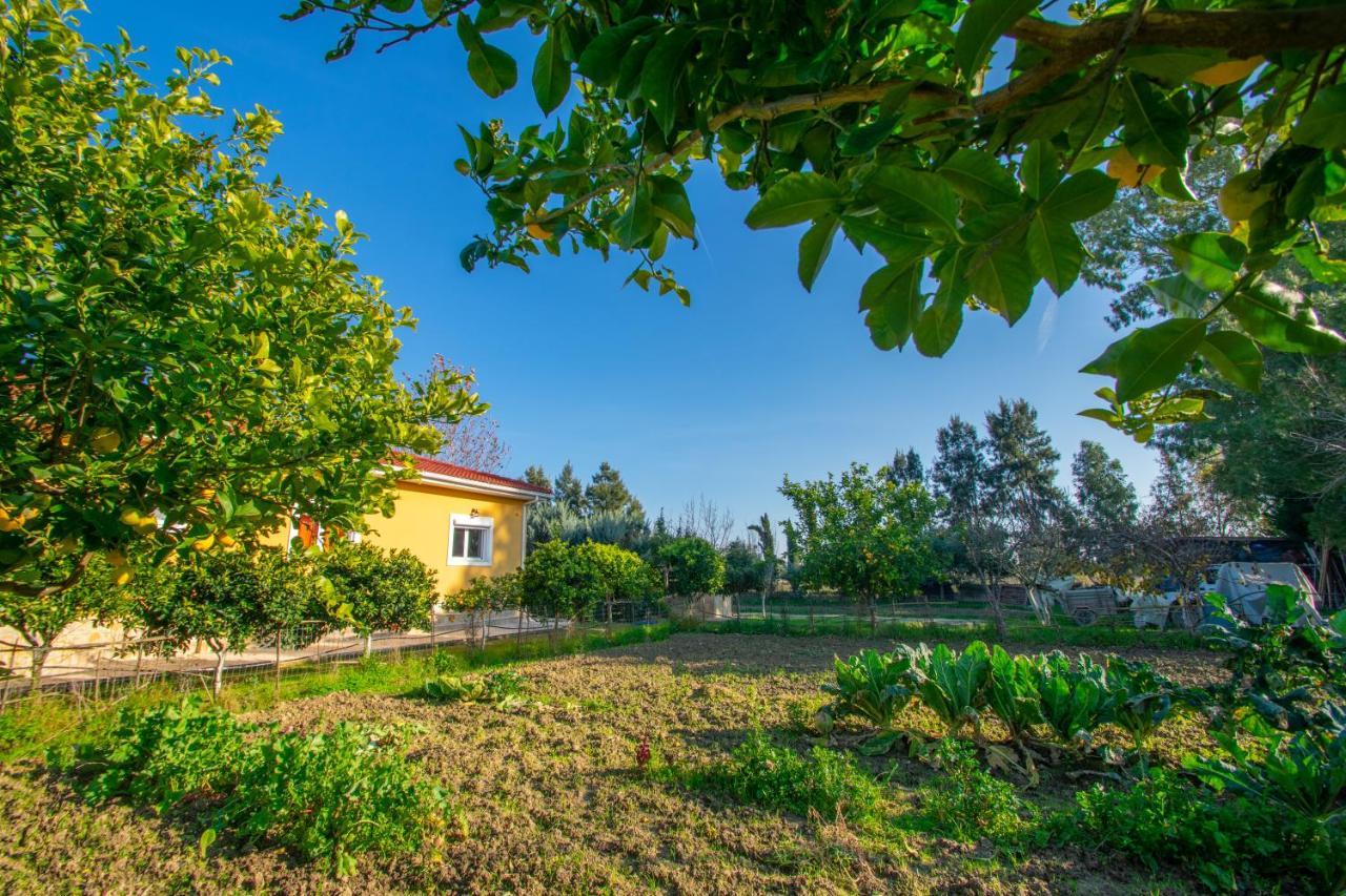 Loukas Farm House Айос-Кирикос Экстерьер фото